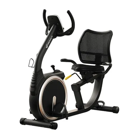 MERACH MR-S19 Recumbent Bike